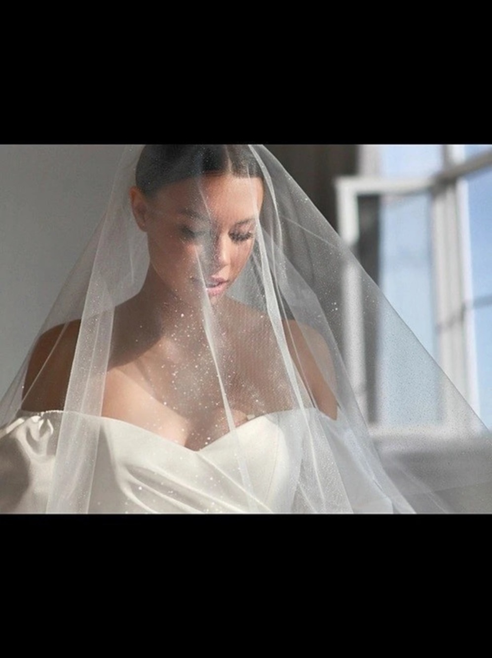 White Silver Glitter Bridal Veil
